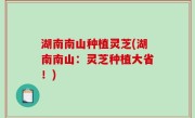 湖南南山种植灵芝(湖南南山：灵芝种植大省！)