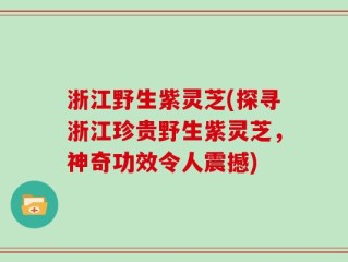 浙江野生紫灵芝(探寻浙江珍贵野生紫灵芝，神奇功效令人震撼)