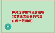 种灵芝哪里气温合适呢(灵芝适宜生长的气温在哪个范围呢)