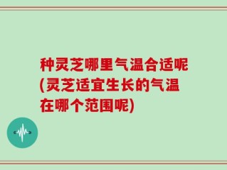 种灵芝哪里气温合适呢(灵芝适宜生长的气温在哪个范围呢)