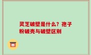 灵芝破壁是什么？孢子粉破壳与破壁区别