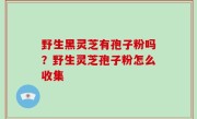 野生黑灵芝有孢子粉吗？野生灵芝孢子粉怎么收集