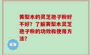 黄梨木的灵芝孢子粉好不好？了解黄梨木灵芝孢子粉的功效和使用方法？