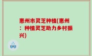 惠州市灵芝种植(惠州：种植灵芝助力乡村振兴)
