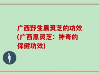 广西野生黑灵芝的功效(广西黑灵芝：神奇的保健功效)