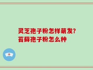 灵芝孢子粉怎样萌发？苔藓孢子粉怎么种