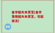 金华超大木灵芝(金华发现超大木灵芝，引起关注)