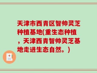 天津市西青区智帅灵芝种植基地(重生态种植，天津西青智帅灵芝基地走进生态自然。)