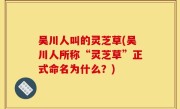 吴川人叫的灵芝草(吴川人所称“灵芝草”正式命名为什么？)