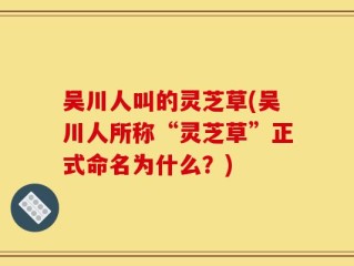 吴川人叫的灵芝草(吴川人所称“灵芝草”正式命名为什么？)