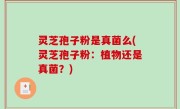 灵芝孢子粉是真菌么(灵芝孢子粉：植物还是真菌？)