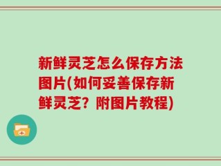 新鲜灵芝怎么保存方法图片(如何妥善保存新鲜灵芝？附图片教程)