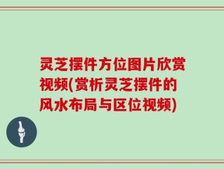 灵芝摆件方位图片欣赏视频(赏析灵芝摆件的风水布局与区位视频)