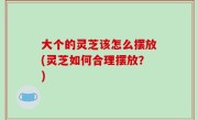 大个的灵芝该怎么摆放(灵芝如何合理摆放？)