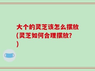 大个的灵芝该怎么摆放(灵芝如何合理摆放？)