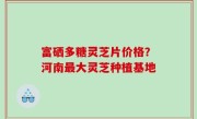 富硒多糖灵芝片价格？河南最大灵芝种植基地