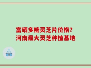 富硒多糖灵芝片价格？河南最大灵芝种植基地