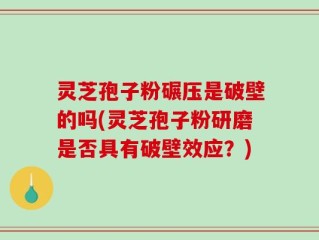灵芝孢子粉碾压是破壁的吗(灵芝孢子粉研磨是否具有破壁效应？)