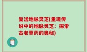 复活地脉灵芝(重现传说中的地脉灵芝：探索古老草药的奥秘)