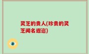 灵芝的贵人(珍贵的灵芝闻名遐迩)