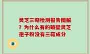 灵芝三萜检测报告图解？为什么有的破壁灵芝孢子粉没有三萜成分