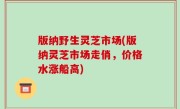 版纳野生灵芝市场(版纳灵芝市场走俏，价格水涨船高)