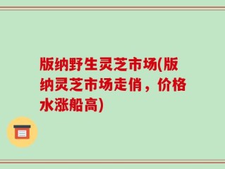 版纳野生灵芝市场(版纳灵芝市场走俏，价格水涨船高)
