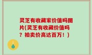 灵芝有收藏家价值吗图片(灵芝有收藏价值吗？拍卖价高达百万！)