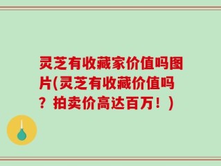 灵芝有收藏家价值吗图片(灵芝有收藏价值吗？拍卖价高达百万！)
