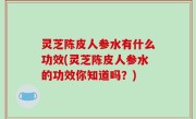 灵芝陈皮人参水有什么功效(灵芝陈皮人参水的功效你知道吗？)