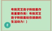 粤微灵芝孢子粉胶囊作用重要作用！粤微灵芝孢子粉胶囊给你健康的生活动力！)