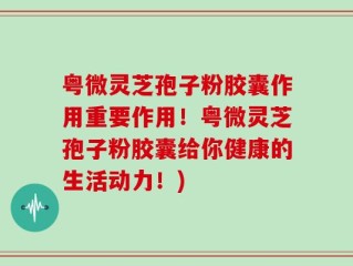 粤微灵芝孢子粉胶囊作用重要作用！粤微灵芝孢子粉胶囊给你健康的生活动力！)