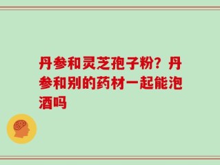 丹参和灵芝孢子粉？丹参和别的药材一起能泡酒吗