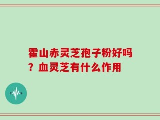 霍山赤灵芝孢子粉好吗？血灵芝有什么作用