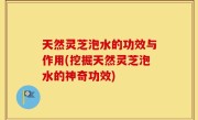 天然灵芝泡水的功效与作用(挖掘天然灵芝泡水的神奇功效)