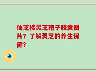 仙芝楼灵芝孢子胶囊图片？了解灵芝的养生保健？
