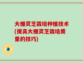 大棚灵芝栽培种植技术(提高大棚灵芝栽培质量的技巧)