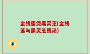 金线莲煲黑灵芝(金线莲与黑灵芝煲汤)