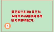 灵芝配五红汤(灵芝与五味草药汤增强身体免疫力的神奇配方)