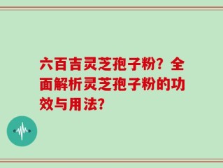 六百吉灵芝孢子粉？全面解析灵芝孢子粉的功效与用法？