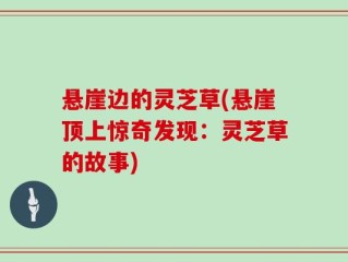 悬崖边的灵芝草(悬崖顶上惊奇发现：灵芝草的故事)