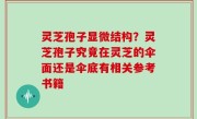 灵芝孢子显微结构？灵芝孢子究竟在灵芝的伞面还是伞底有相关参考书籍