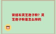 肾结石灵芝孢子粉？灵芝孢子粉是怎么样的