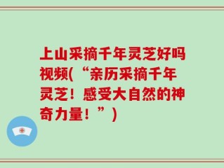 上山采摘千年灵芝好吗视频(“亲历采摘千年灵芝！感受大自然的神奇力量！”)