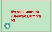 灵芝草在几年前生长(几年前的灵芝草生长情况)