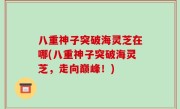 八重神子突破海灵芝在哪(八重神子突破海灵芝，走向巅峰！)