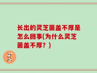 长出的灵芝菌盖不厚是怎么回事(为什么灵芝菌盖不厚？)