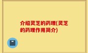 介绍灵芝的药理(灵芝的药理作用简介)