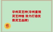 华州灵芝种(华州重视灵芝种植 致力打造优质灵芝品牌)