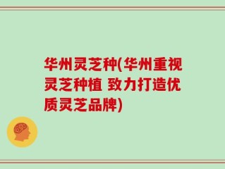 华州灵芝种(华州重视灵芝种植 致力打造优质灵芝品牌)